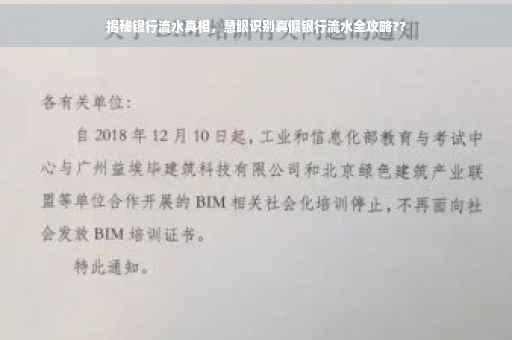 揭秘银行流水真相，慧眼识别真假银行流水全攻略??