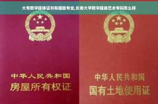 大专数字媒体证书有哪些专业,长春大学数字媒体艺术专科怎么样