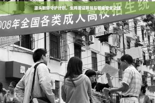 源头新鲜守护计划，生鸡蛋证明书与餐桌安全之旅