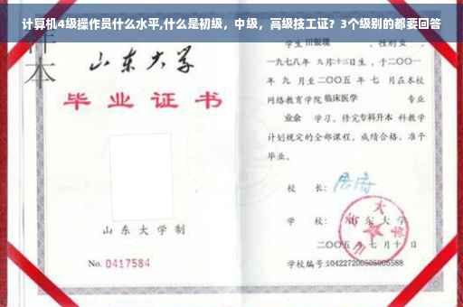 计算机4级操作员什么水平,什么是初级，中级，高级技工证？3个级别的都要回答
