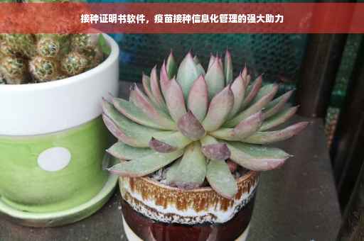 接种证明书软件，疫苗接种信息化管理的强大助力