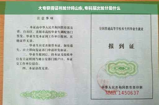 大专获得证书加分吗山东,专科层次加分是什么