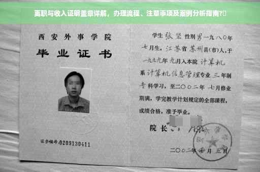 离职与收入证明盖章详解，办理流程、注意事项及案例分析指南?✨
