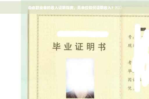 自由职业者的收入证明指南，无单位如何证明收入？?⚡️