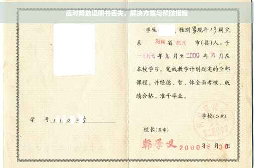 应对释放证明书丢失，解决方案与预防措施