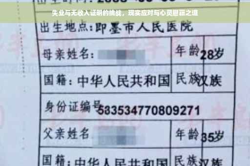 失业与无收入证明的挑战，现实应对与心灵慰藉之道