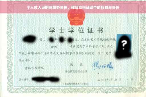 个人收入证明与税务责任，理解交税证明中的权益与责任