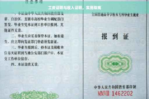 工资证明与收入证明，实用指南