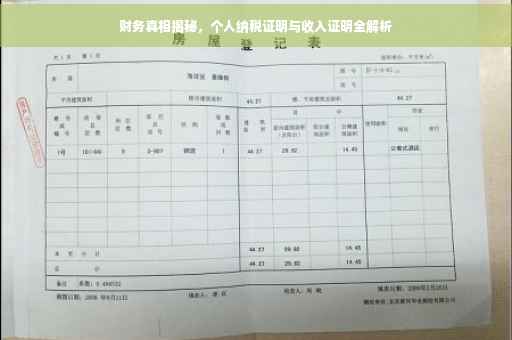 财务真相揭秘，个人纳税证明与收入证明全解析