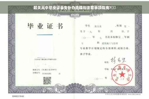 韶关高中毕业证丢失补办流程与注意事项指南?⚡️