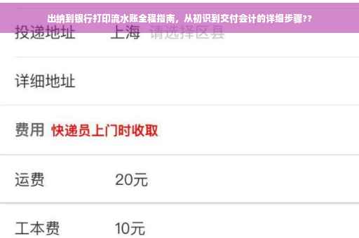 出纳到银行打印流水账全程指南，从初识到交付会计的详细步骤??
