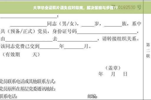 大学毕业证照片遗失应对指南，解决策略与步骤??