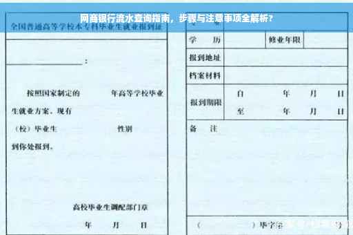 网商银行流水查询指南，步骤与注意事项全解析?