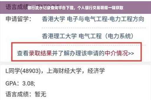 银行流水记录查询平台下载，个人银行交易明细一键获取
