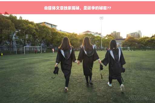 自媒体文章独家揭秘，圣诞季的秘密??