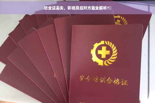毕业证丢失，影响及应对方案全解析?✨