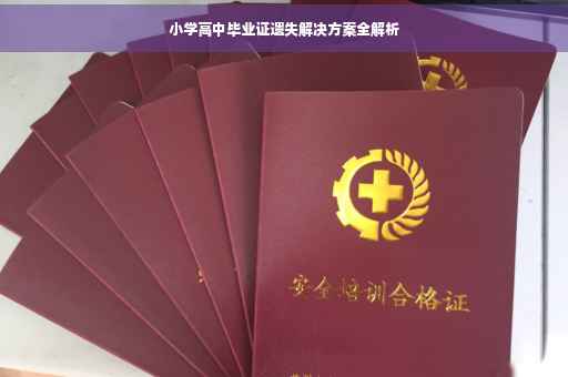 小学高中毕业证遗失解决方案全解析