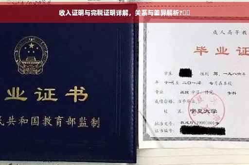 收入证明与完税证明详解，关系与差异解析?⚡️