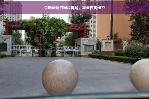 中医证明书图片详解，重要性揭秘??