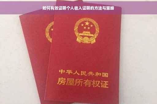 如何有效证明个人收入证明的方法与策略