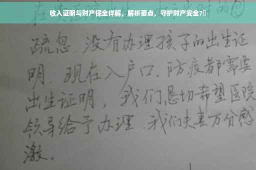 收入证明与财产保全详解，解析要点，守护财产安全?✨