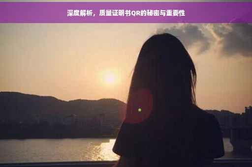 深度解析，质量证明书QR的秘密与重要性
