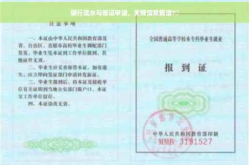 银行流水与签证申请，关键信息解读?✨