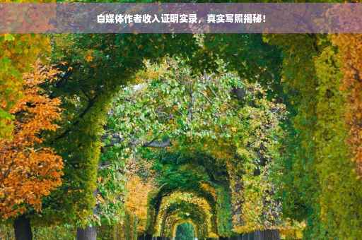 自媒体作者收入证明实录，真实写照揭秘！