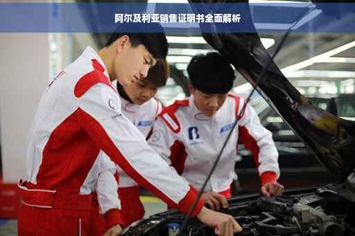 阿尔及利亚销售证明书全面解析