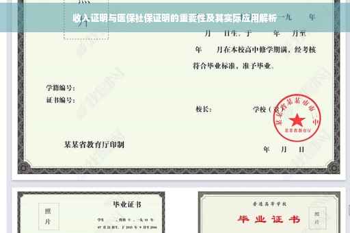 收入证明与医保社保证明的重要性及其实际应用解析