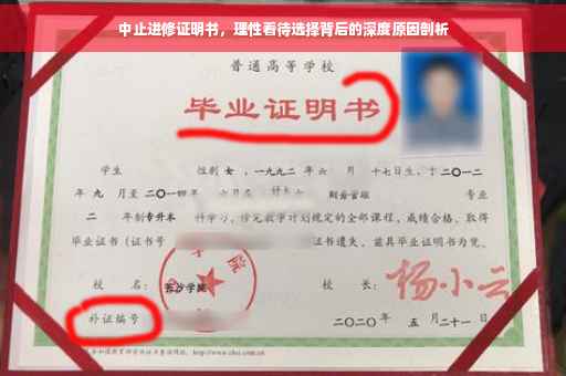 中止进修证明书，理性看待选择背后的深度原因剖析