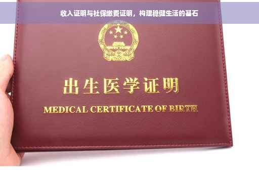 收入证明与社保缴费证明，构建稳健生活的基石