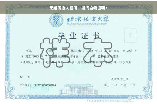 无经济收入证明，如何自我证明？