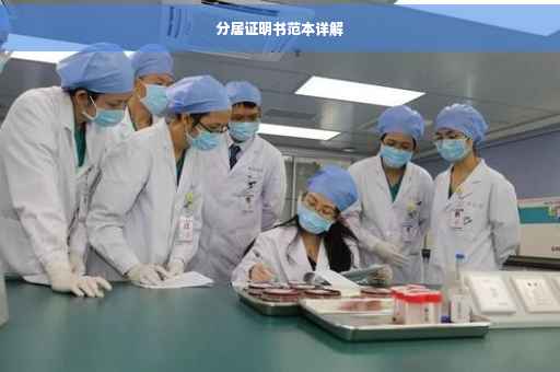 分居证明书范本详解