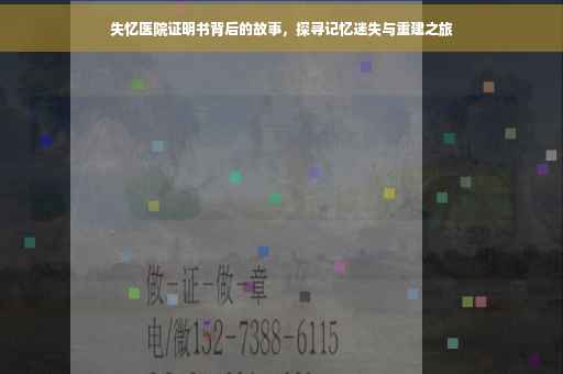 失忆医院证明书背后的故事，探寻记忆迷失与重建之旅