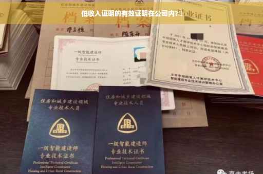 低收入证明的有效证明在公司内?✨