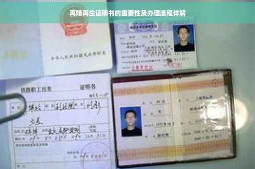 再婚再生证明书的重要性及办理流程详解