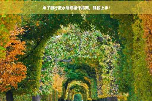 电子银行流水明细操作指南，轻松上手！