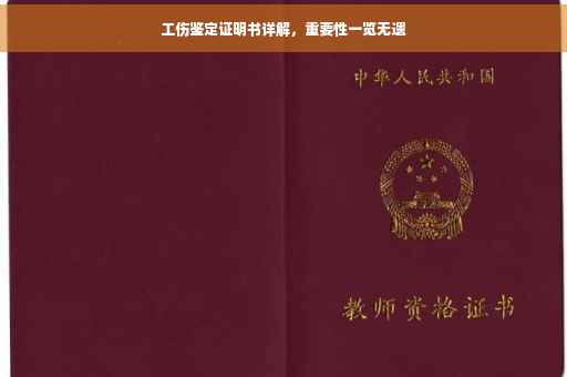工伤鉴定证明书详解，重要性一览无遗