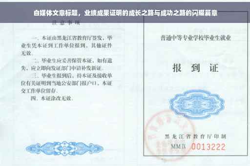 自媒体文章标题，业绩成果证明的成长之路与成功之路的闪耀篇章