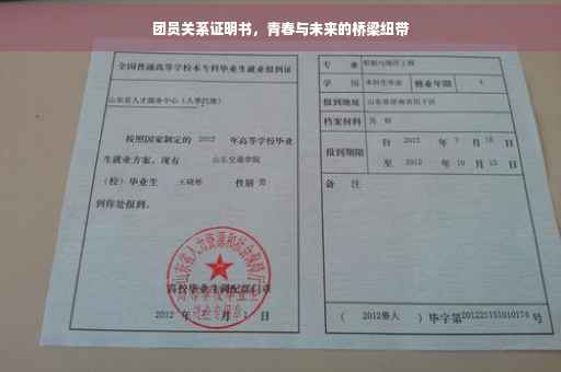 团员关系证明书，青春与未来的桥梁纽带