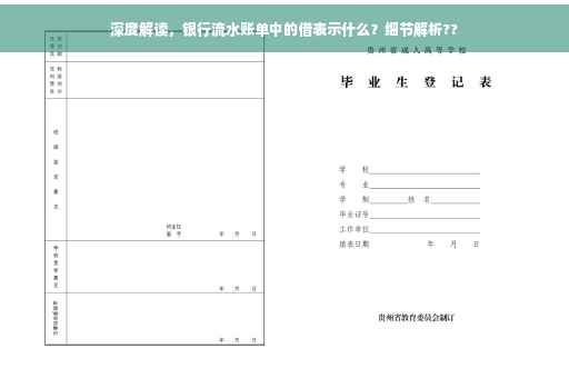 深度解读，银行流水账单中的借表示什么？细节解析??
