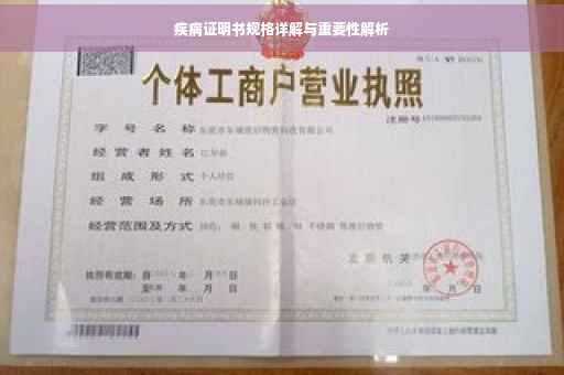 疾病证明书规格详解与重要性解析