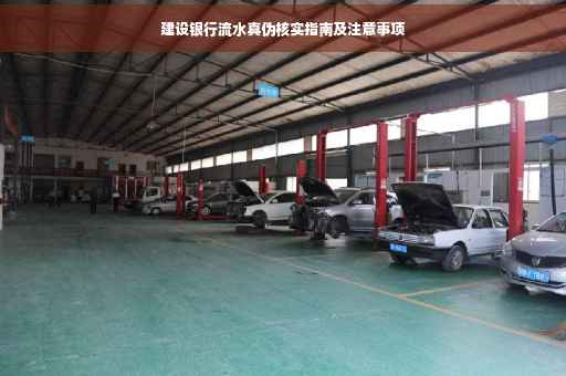 建设银行流水真伪核实指南及注意事项