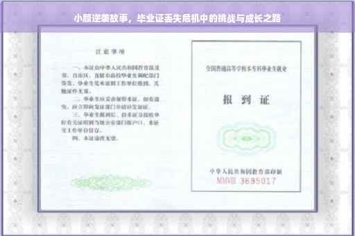 小颜逆袭故事，毕业证丢失危机中的挑战与成长之路