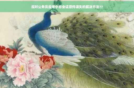 应对公务员报考中毕业证原件遗失的解决方法??