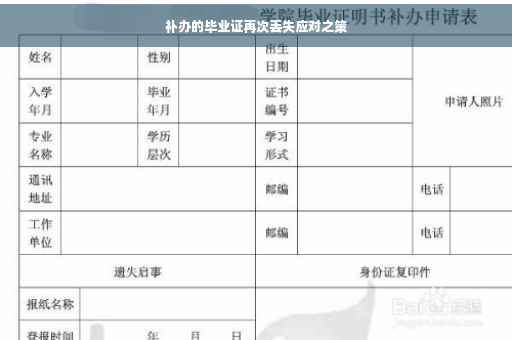 补办的毕业证再次丢失应对之策