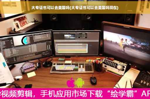 大专证书可以去美国吗(大专证书可以去美国吗现在)