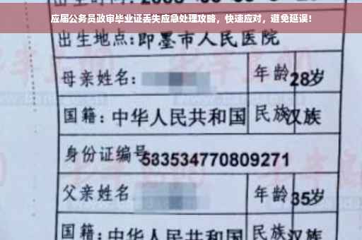 应届公务员政审毕业证丢失应急处理攻略，快速应对，避免延误！