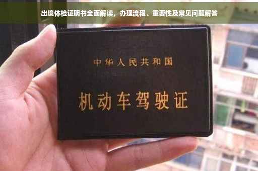 出境体检证明书全面解读，办理流程、重要性及常见问题解答